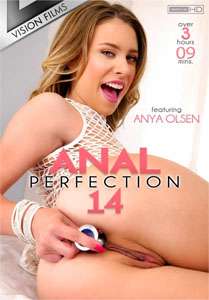 Anal Perfection #14 – Vision Films