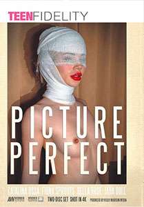 Picture Perfect – Porn Fidelity